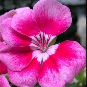 Meet your Posher, Lynn